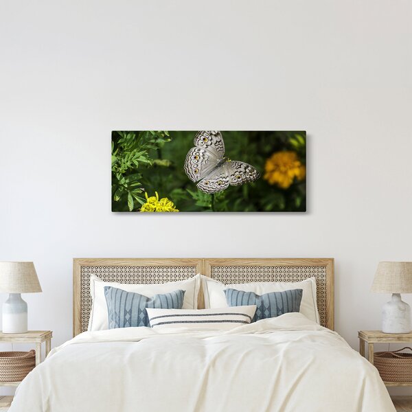 Obraz - biely motýľ (120x50 cm)