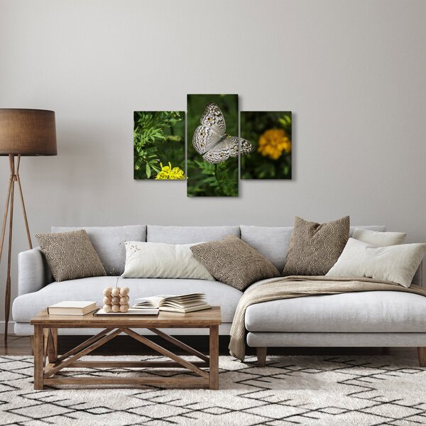 Obraz - biely motýľ (90x60 cm)