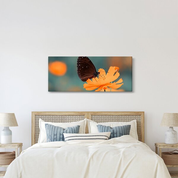 Obraz - motýľ na oranžovom kvete (120x50 cm)