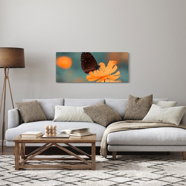 Obraz - motýľ na oranžovom kvete (120x50 cm)