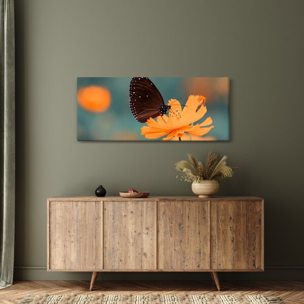 Obraz - motýľ na oranžovom kvete (120x50 cm)