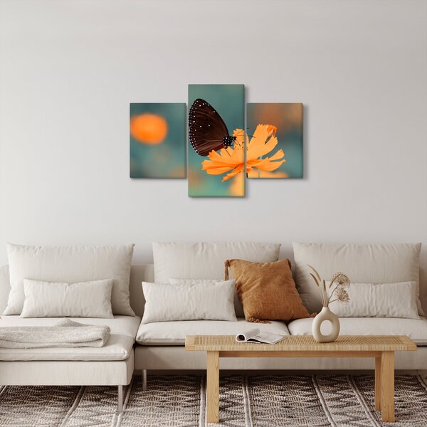 Obraz - motýľ na oranžovom kvete (90x60 cm)