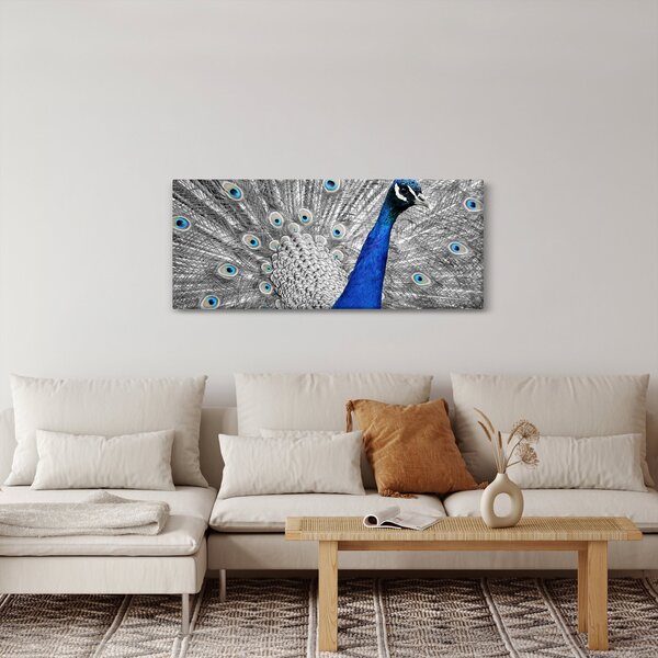 Obraz - modrý páv (120x50 cm)
