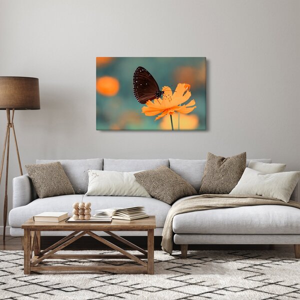Obraz - motýľ na oranžovom kvete (90x60 cm)