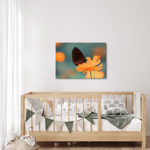 Obraz - motýľ na oranžovom kvete (70x50 cm)