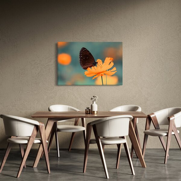 Obraz - motýľ na oranžovom kvete (90x60 cm)