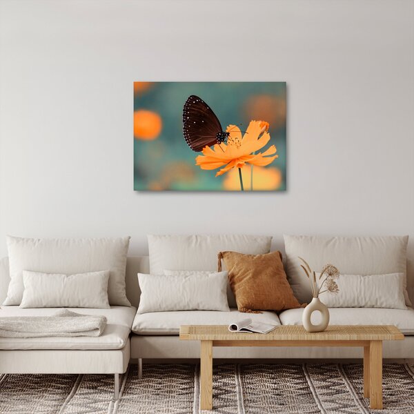 Obraz - motýľ na oranžovom kvete (70x50 cm)
