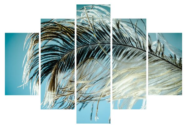 Obraz pierka (150x105 cm)