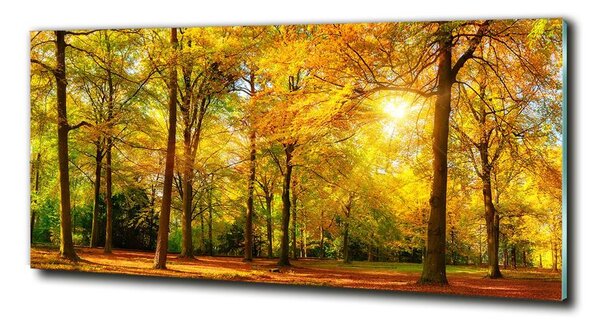 Foto obraz sklo tvrdené Jesenné les
