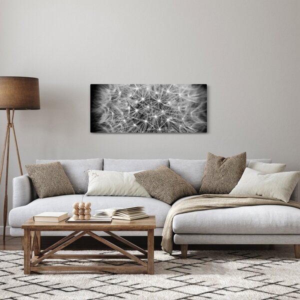 Obraz sivej púpavy (120x50 cm)