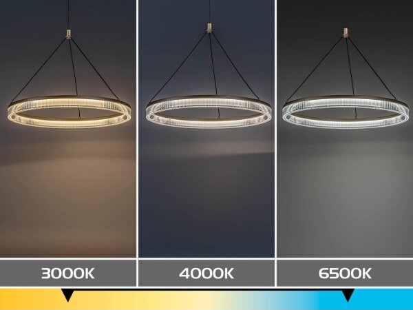Rabalux 72471 - LED stmievateľný luster na lanku RIVONA LED/24W/230V 3000-6500K + diaľkové ovládanie