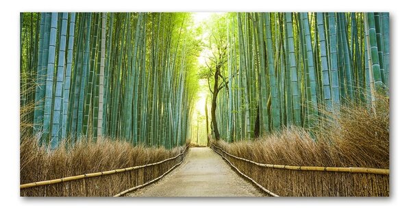 Fotoobraz na skle bambusový les cz-osh-100x50-f-72519653