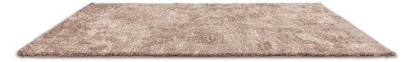 KOBEREC S VYSOKÝM VLASOM, 200/290 cm, taupe Astra - Koberce