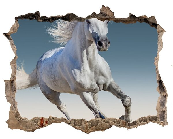 Fototapeta díra na zeď Biely kôň v trysku nd-k-95257889