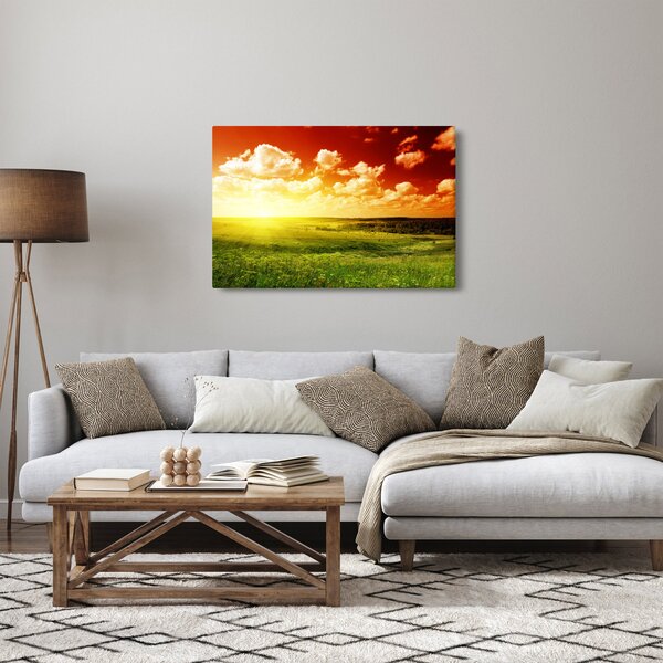 Obraz letnej lúky (90x60 cm)