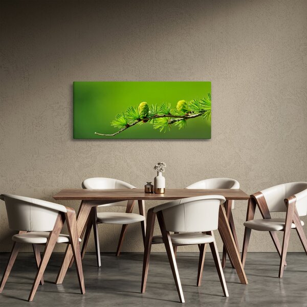 Obraz zelenej šišky (120x50 cm)