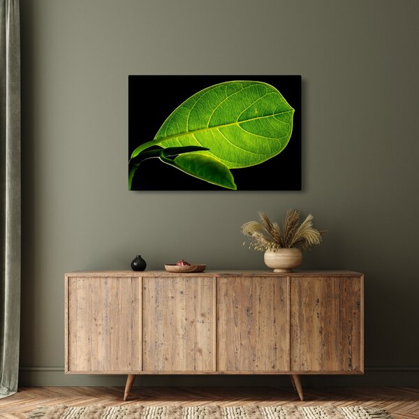 Obraz - zelený list (90x60 cm)