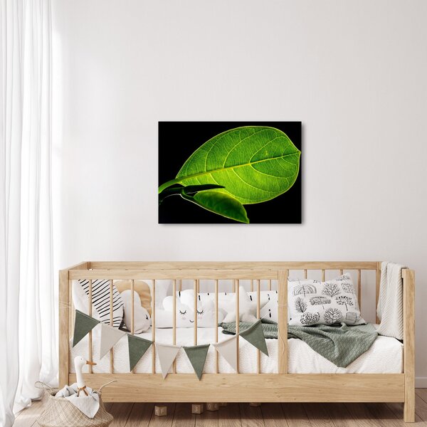 Obraz - zelený list (70x50 cm)