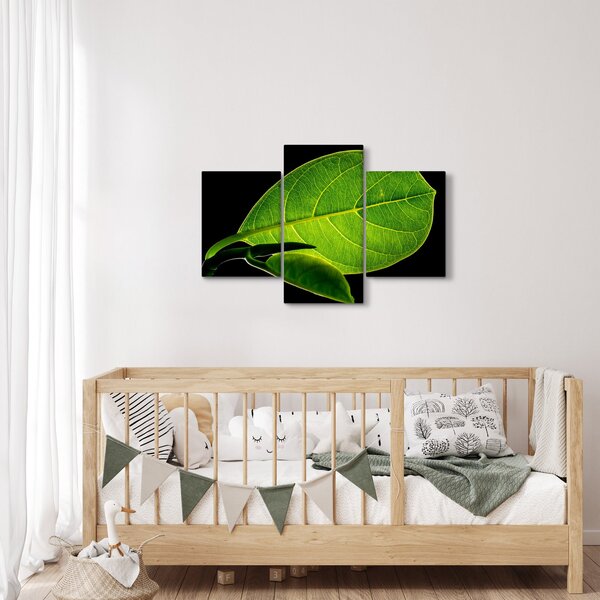 Obraz - zelený list (90x60 cm)