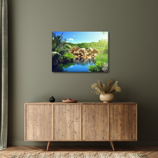 Obraz jazera v Seychelskej džungli (70x50 cm)