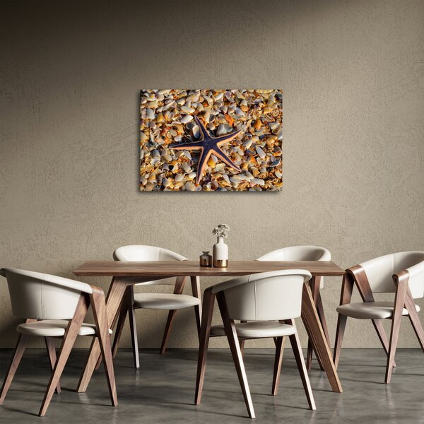 Obraz morskej hviezdice (70x50 cm)
