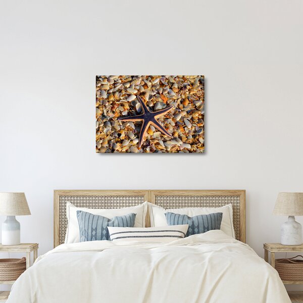 Obraz morskej hviezdice (70x50 cm)