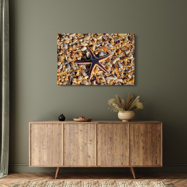 Obraz morskej hviezdice (90x60 cm)