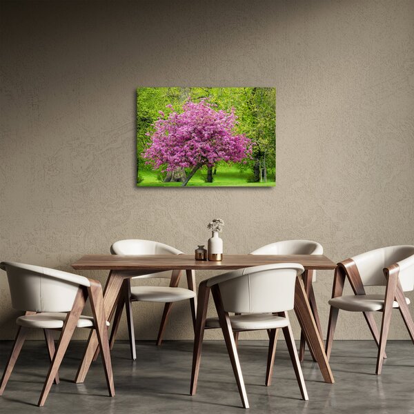 Obraz rozkvitnutého stromu na lúke (70x50 cm)