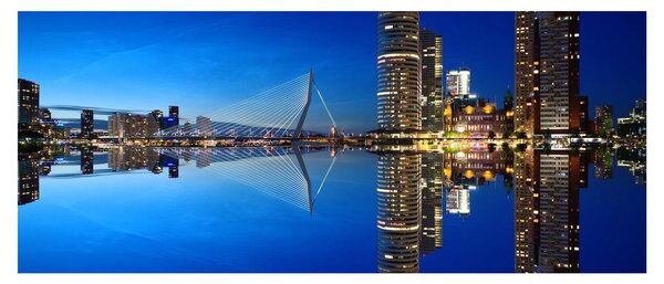 Obraz - nočný Rotterdam (120x50 cm)