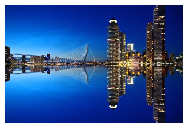 Obraz - nočný Rotterdam (90x60 cm)