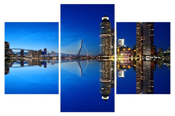 Obraz - nočný Rotterdam (90x60 cm)