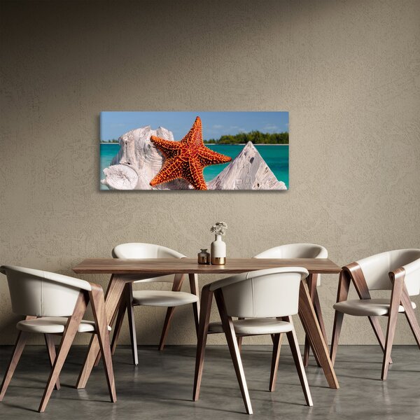Obraz morskej hviezdice (120x50 cm)