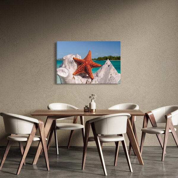 Obraz morskej hviezdice (90x60 cm)