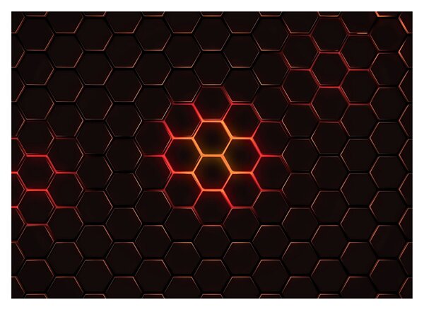 Obraz pletiva (70x50 cm)