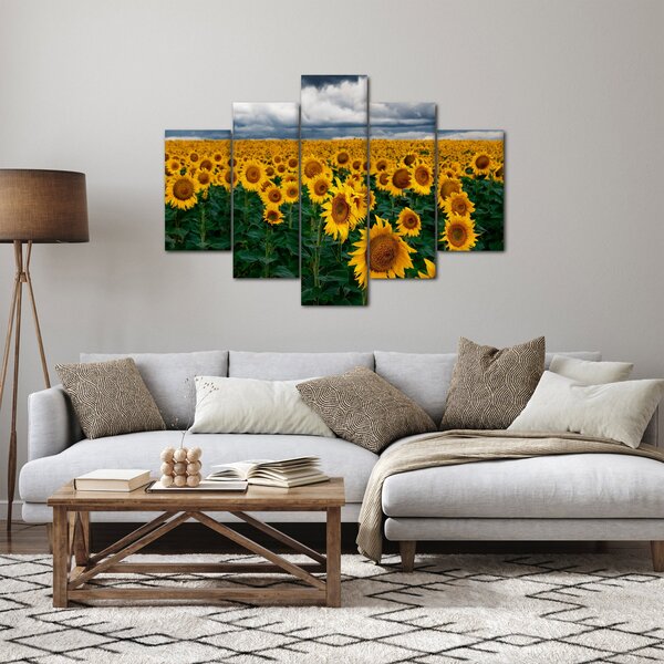 Obraz slnečnicového poľa (150x105 cm)