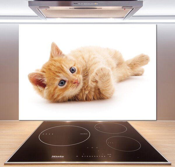 Sklenený panel do kuchynskej linky Červená mačka