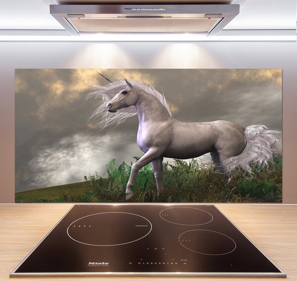 Panel do kuchyne Sivý jednorožec pl-pksh-120x60-f-48202053