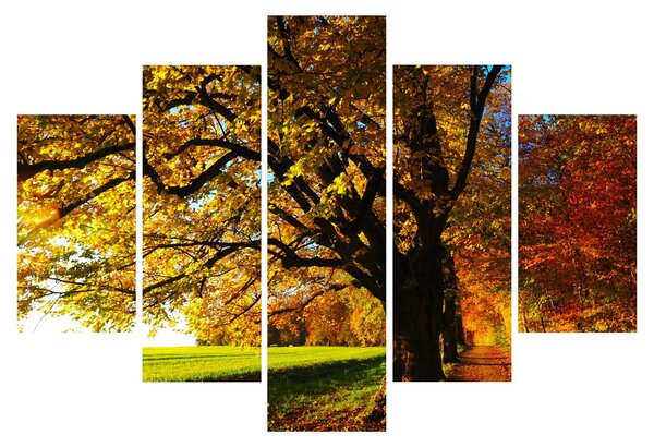 Obraz jesene (150x105 cm)