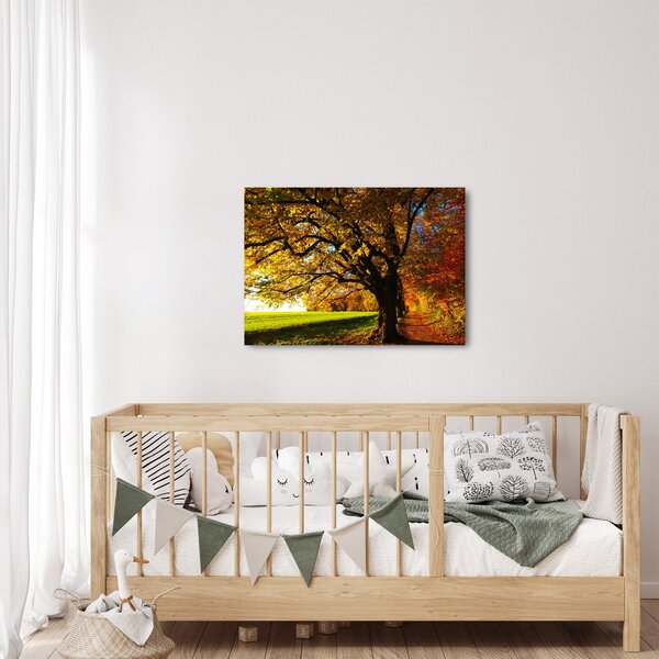 Obraz jesene (70x50 cm)