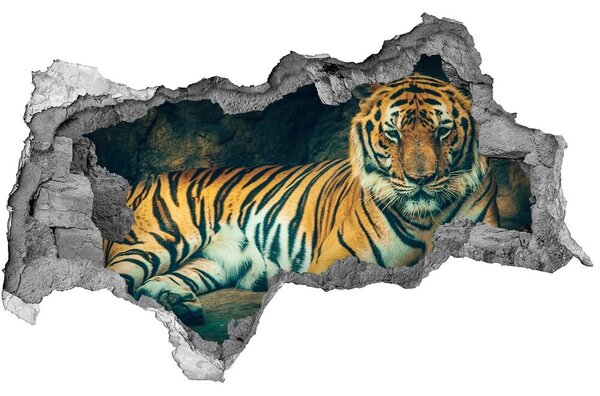 Diera 3D fototapeta nálepka Tiger cave nd-b-121530926
