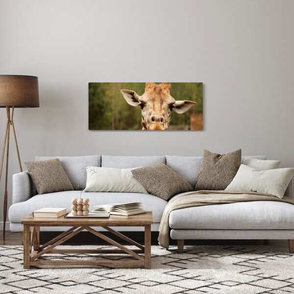 Obraz žirafy (120x50 cm)