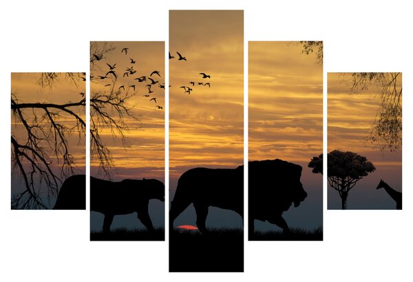 Obraz Safari (150x105 cm)