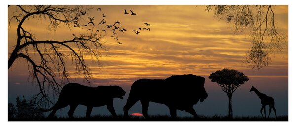 Obraz Safari (120x50 cm)
