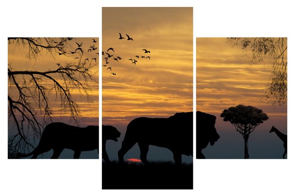 Obraz Safari (90x60 cm)