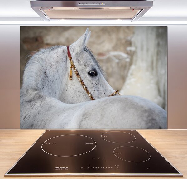 Panel do kuchyne Biely arabský kôň
