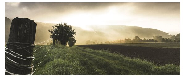 Obraz lúky (120x50 cm)