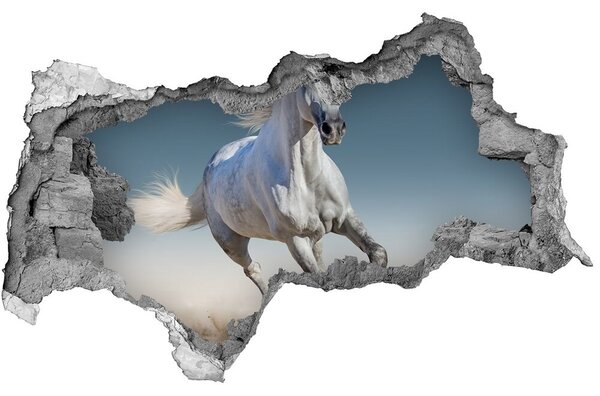 Fototapeta diera na stenu Biely kôň v trysku nd-b-95257889