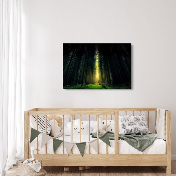Obraz temného lesa (90x60 cm)