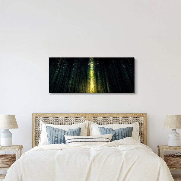 Obraz temného lesa (120x50 cm)