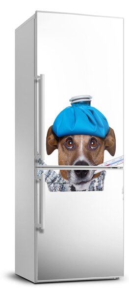 Foto nálepka na chladničku stenu Chorý pes
